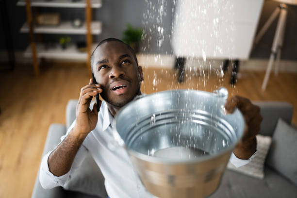 Best Basement water damage restoration  in Lehi, UT