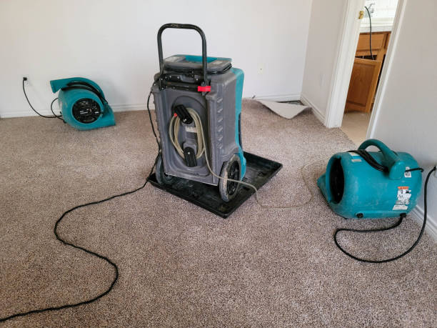 Best Ceiling water damage repair  in Lehi, UT