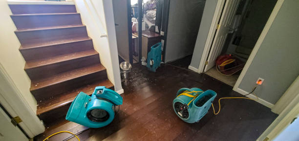 Best Local water damage restoration  in Lehi, UT