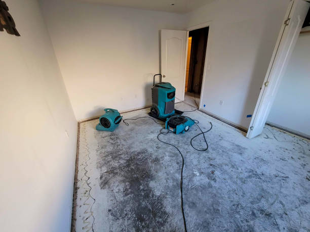Best Water damage restoration near me  in Lehi, UT