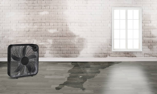 Best 24-hour water damage restoration  in Lehi, UT