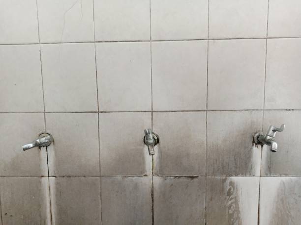 Best Water damage cleanup near me  in Lehi, UT