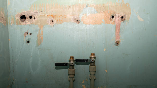 Reliable Lehi, UT Water damage restoration Solutions