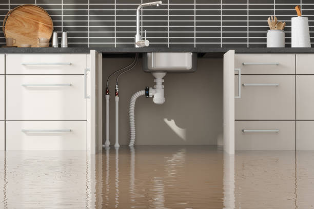 Local water damage restoration in Lehi, UT