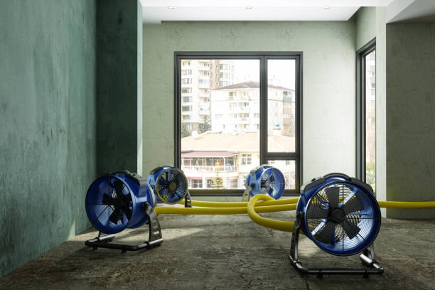 Best Flood damage cleanup  in Lehi, UT